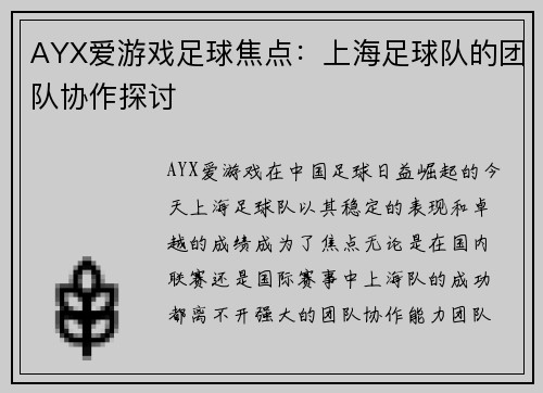 AYX爱游戏足球焦点：上海足球队的团队协作探讨